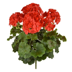 Geranio PL Boeket XL 40cm UV Rood