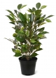 Pianta artificiale Ficus Natacha 40 cm in Vaso