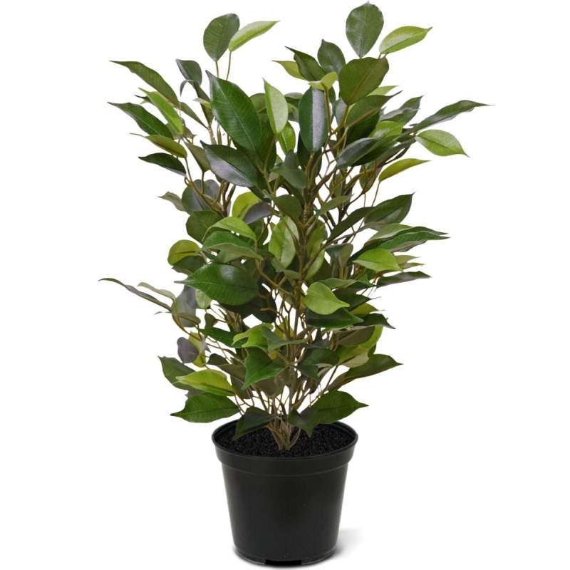 Pianta artificiale Ficus Natacha 40 cm in Vaso
