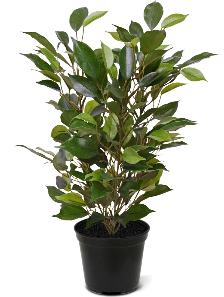 Pianta artificiale Ficus Natacha 40 cm in Vaso