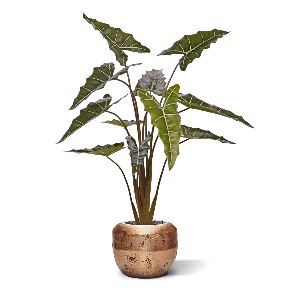Alocasia Sariana artificiale 140cm