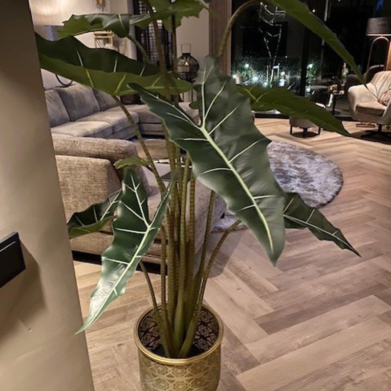 Alocasia Sariana artificiale 140cm