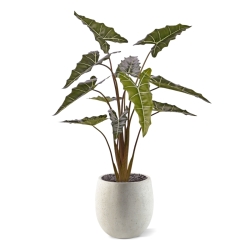 Alocasia Sariana artificiale 140cm