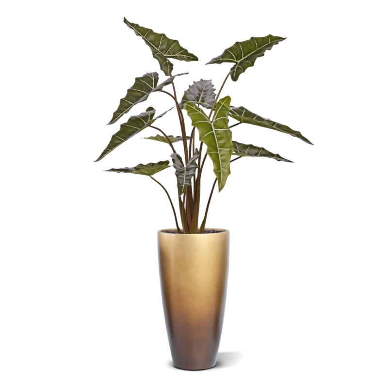 Alocasia Sariana artificiale 140cm