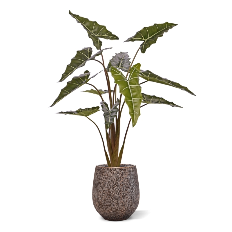Alocasia Sariana artificiale 140cm