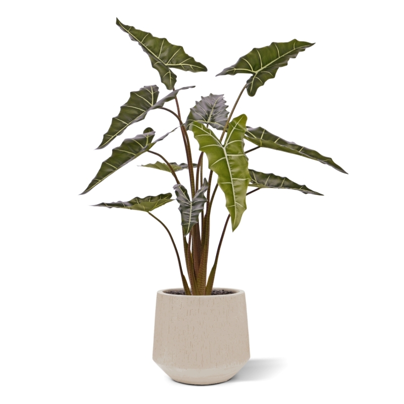 Alocasia Sariana artificiale 140cm