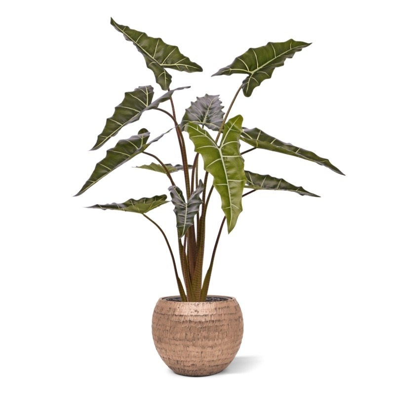 Alocasia Sariana artificiale 140cm