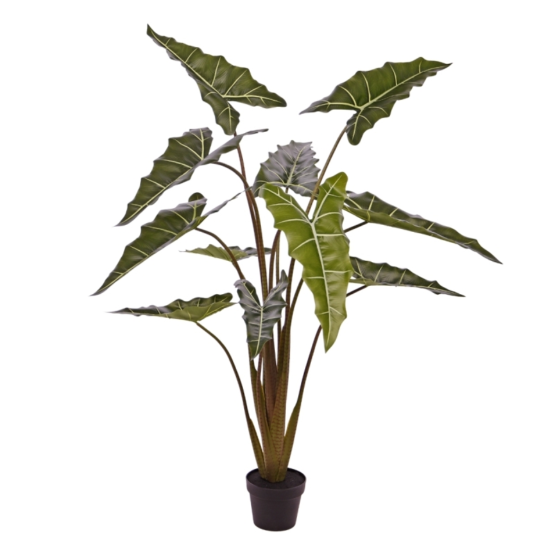 Alocasia Sariana artificiale 140cm