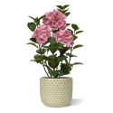 Ortensia Pianta artificiale in vaso 65cm Rosa