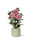 Ortensia Pianta artificiale in vaso 65cm Rosa