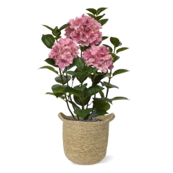 Ortensia Pianta artificiale in vaso 65cm Rosa