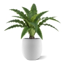 Felce Asplenium RT Artificiale 60cm