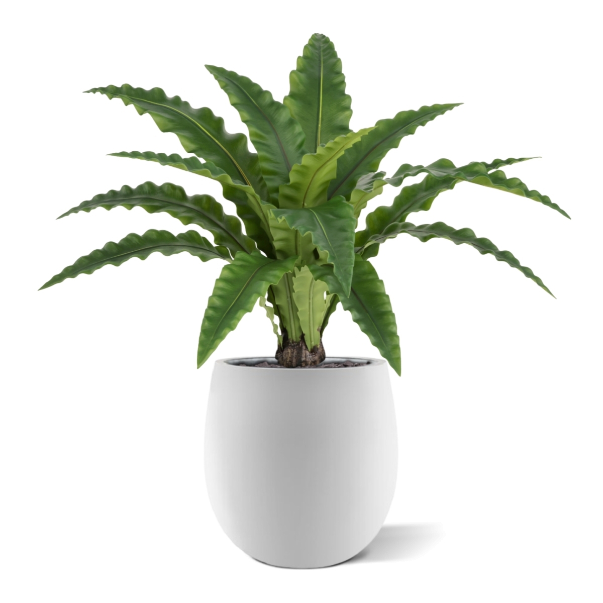 Felce Asplenium RT Artificiale 60cm