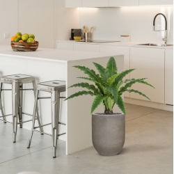 Felce Asplenium RT Artificiale 60cm