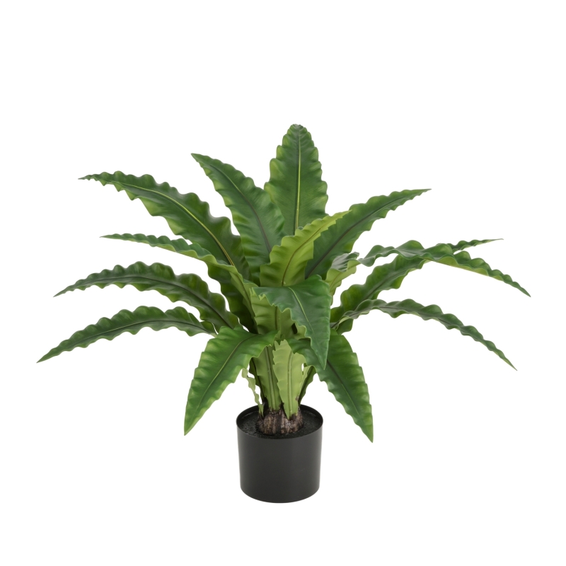 Felce Asplenium RT Artificiale 60cm