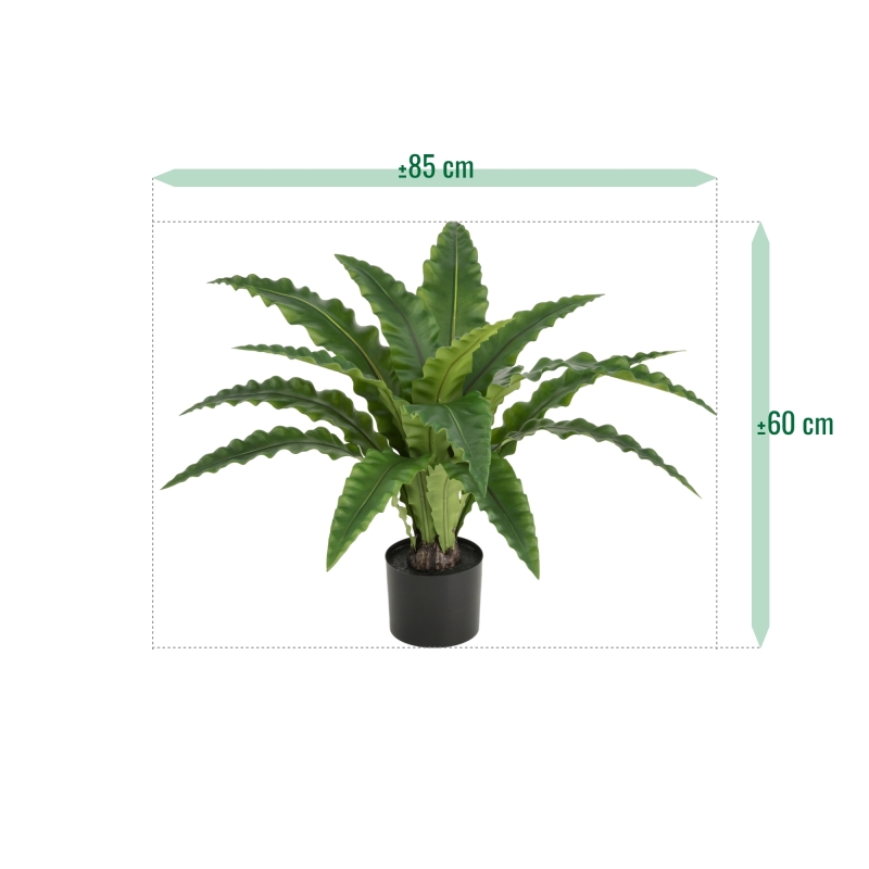 Felce Asplenium RT Artificiale 60cm