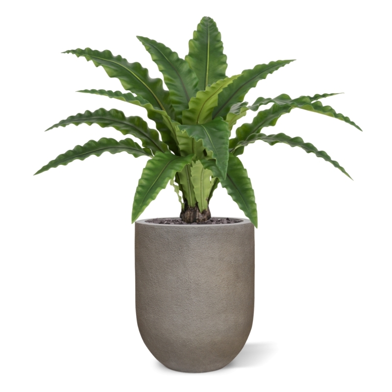 Felce Asplenium RT Artificiale 60cm