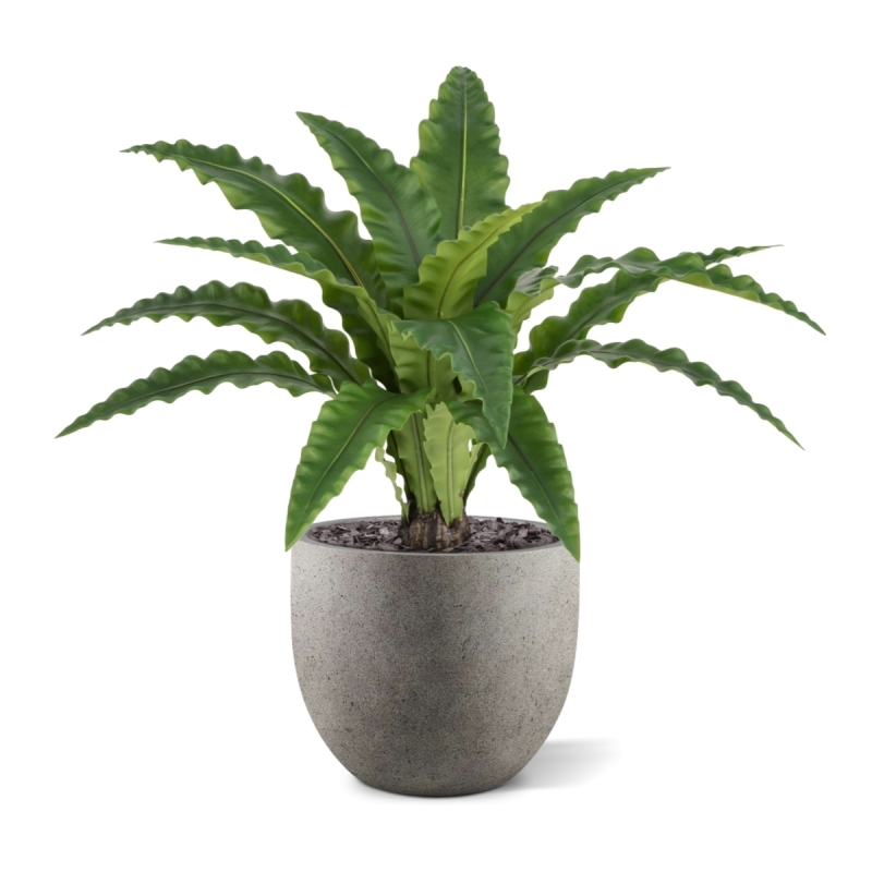 Felce Asplenium RT Artificiale 60cm