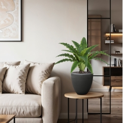 Felce Asplenium RT Artificiale 60cm