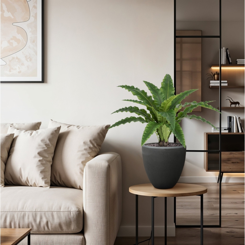 Felce Asplenium RT Artificiale 60cm