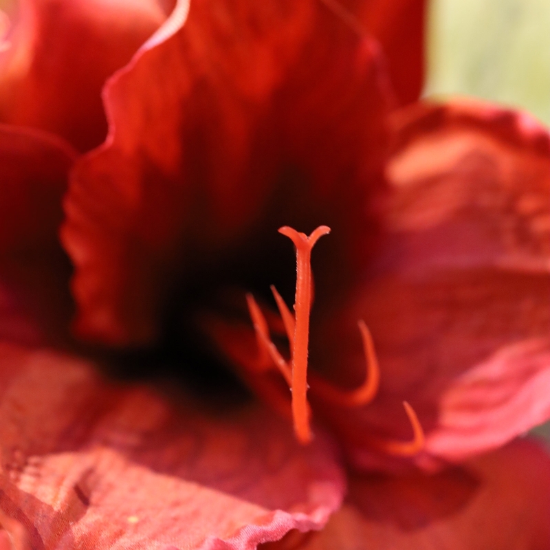 Bouquet Artificiale Legato a Mano Amaryllis Christmas