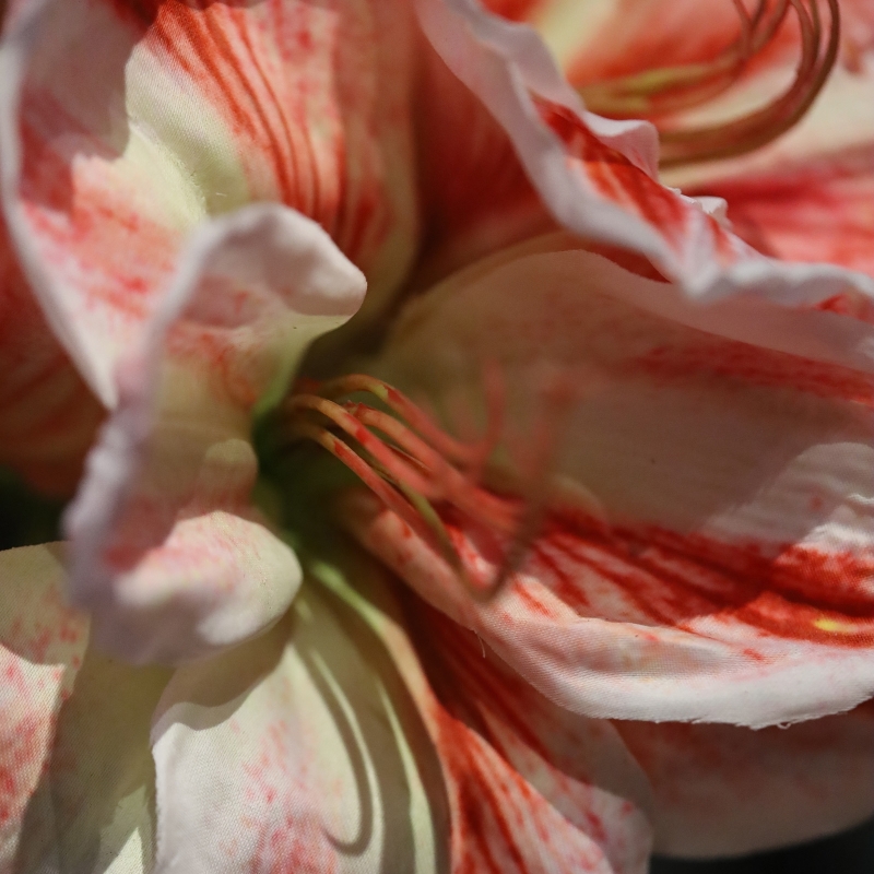 Bouquet Artificiale Legato a Mano Amaryllis Christmas