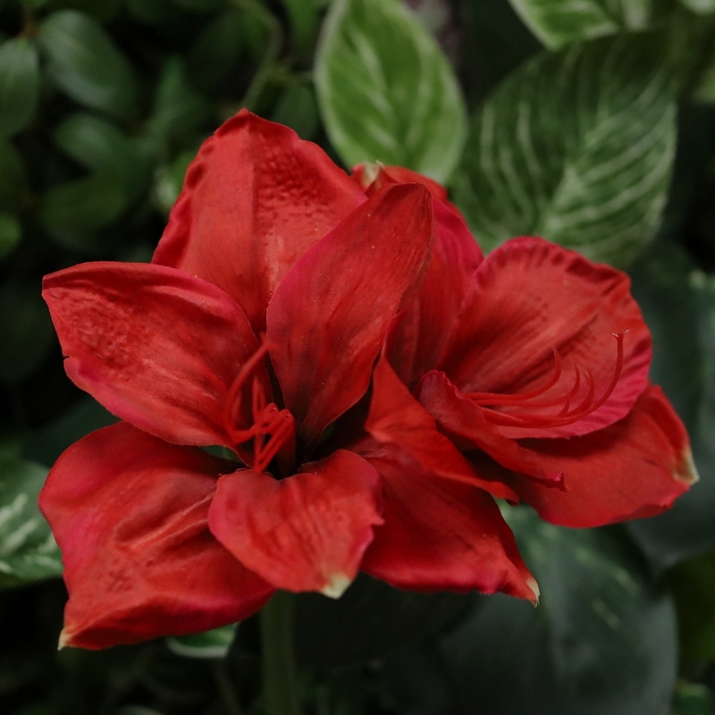 Bouquet Artificiale Legato a Mano Amaryllis Christmas
