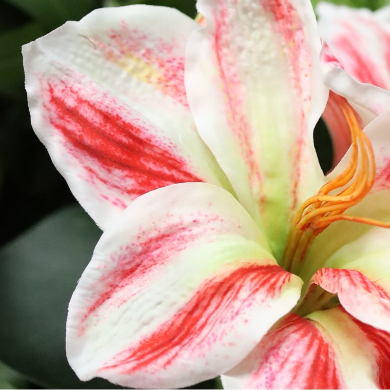 Bouquet Artificiale Legato a Mano Amaryllis Christmas