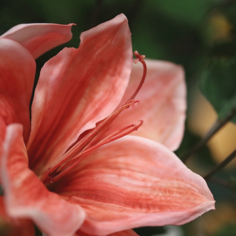 Bouquet Artificiale Legato a Mano Amaryllis Christmas
