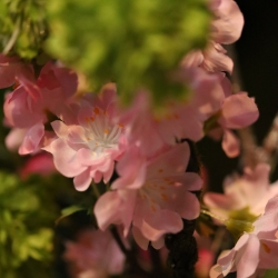 Mazzo di Fiori Artificiali Legato a Mano Amelie Tallinn – Rosa