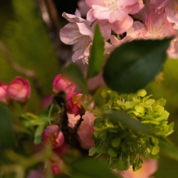 Mazzo di Fiori Artificiali Legato a Mano Amelie Tallinn – Rosa