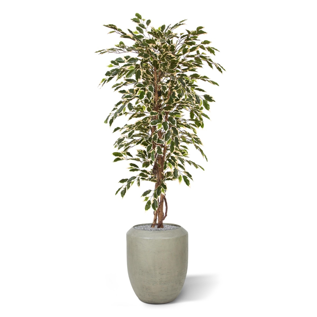 Albero artificiale Ficus Hawai 150 cm
