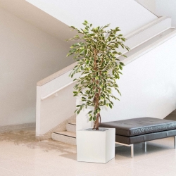 Albero artificiale Ficus Hawai 150 cm