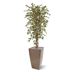 Albero artificiale Ficus Hawai 150 cm