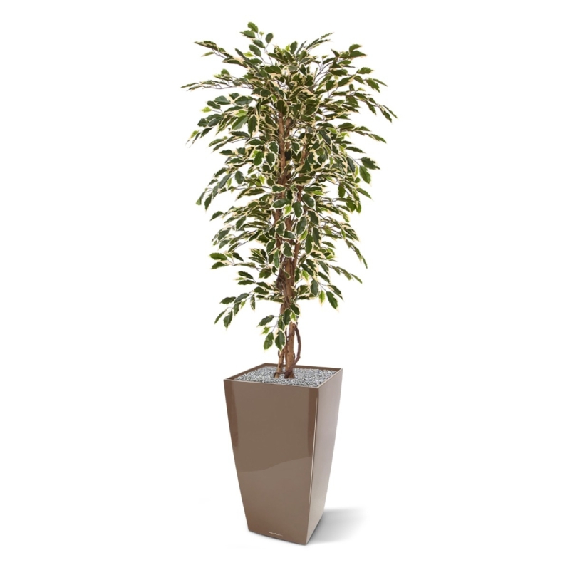 Albero artificiale Ficus Hawai 150 cm