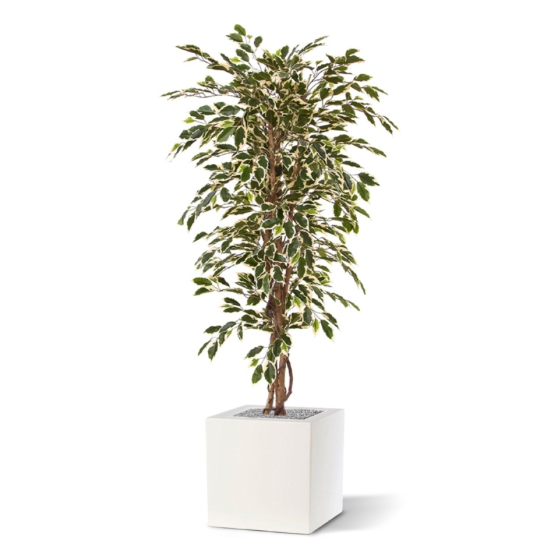 Albero artificiale Ficus Hawai 150 cm