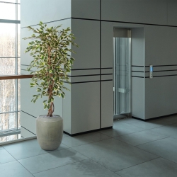 Albero artificiale Ficus Hawai 150 cm
