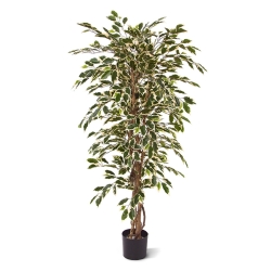 Albero artificiale Ficus Hawai 150 cm