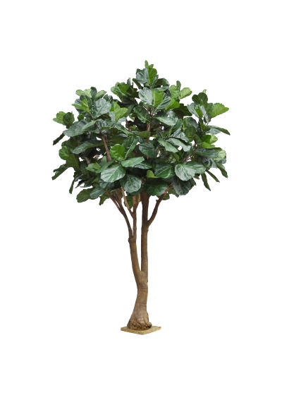 Albero artificiale Ficus Lyrata Deluxe XXL 350 cm