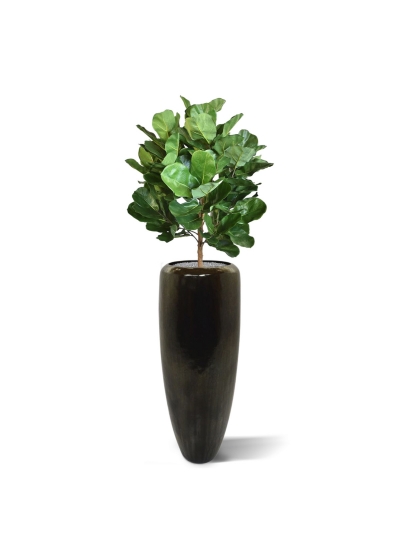 Pianta artificiale Royal Lyrata bulb deluxe 105 cm