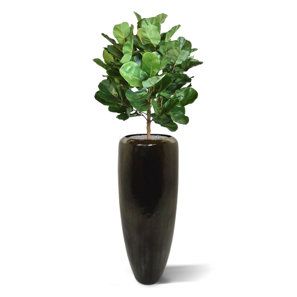 Pianta artificiale Royal Lyrata bulb deluxe 105 cm