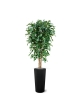 Ficus artificiale Exotica Deluxe 180 cm verde