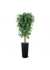 Ficus artificiale Exotica Deluxe 180 cm verde