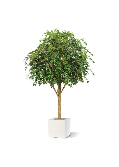 Albero artificiale ignifugo Ficus Exotica Giant 290 cm