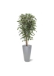 Albero artificiale Ficus Exotica deluxe 180 cm - variegato