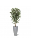 Albero artificiale Ficus Exotica deluxe 180 cm - variegato