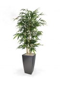 Pianta artificiale di bamb&ugrave; 150 cm - FR - ignifuga