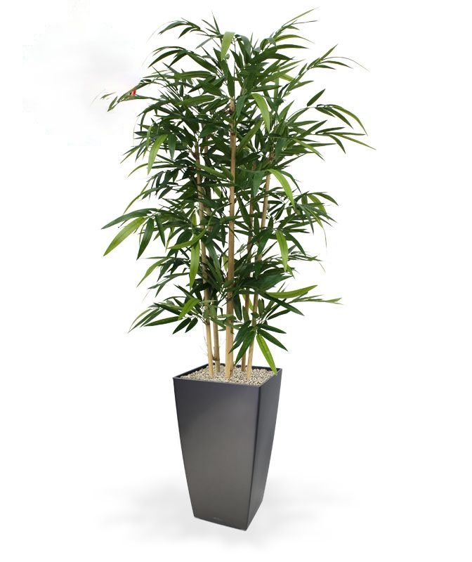 Pianta artificiale di bambù 150 cm - FR - ignifuga