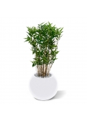 Pianta artificiale di bambù orientale 70 cm