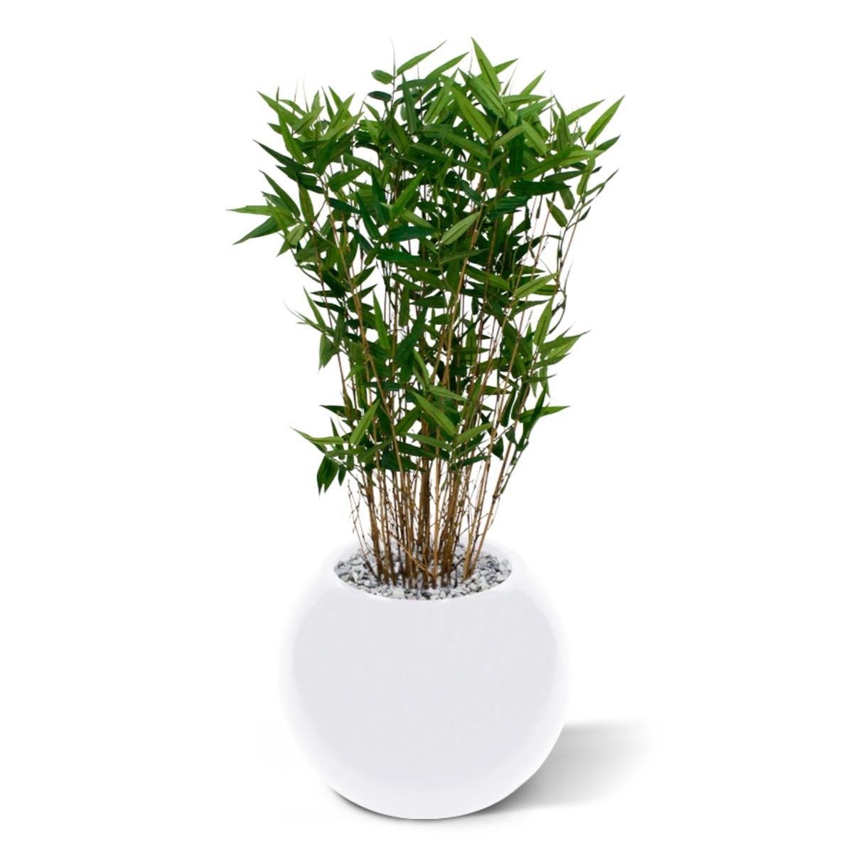 Pianta artificiale di bambù orientale 70 cm